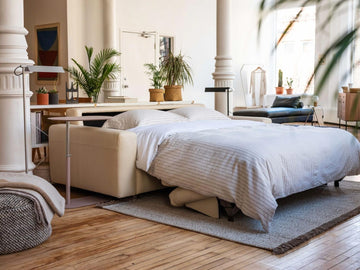 Reva Sleeper Sofa