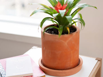 Dover Planter