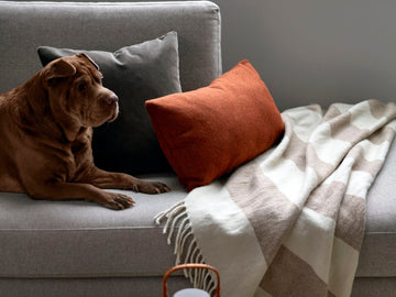 30" Square Cushion