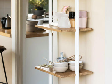 Climb Ladder Shelf