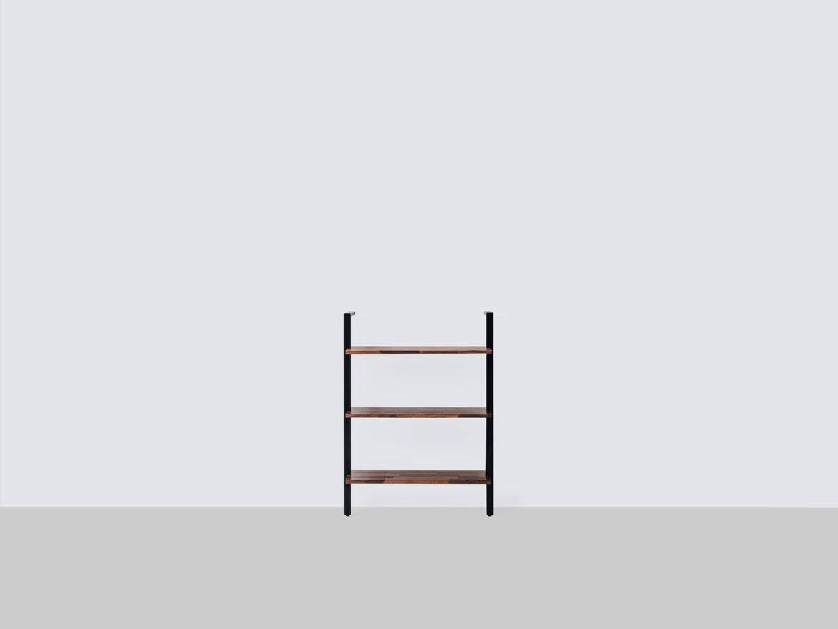 Climb Ladder Shelf