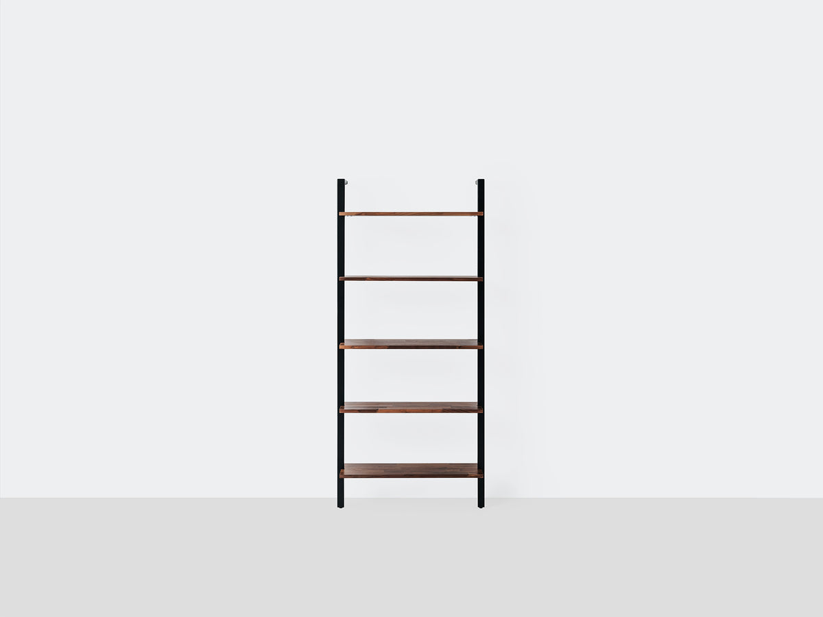 Climb Ladder Shelf