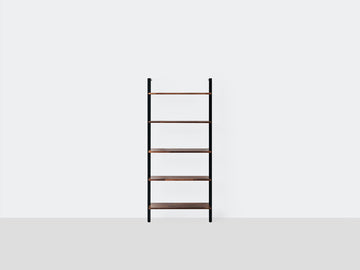 Climb Ladder Shelf