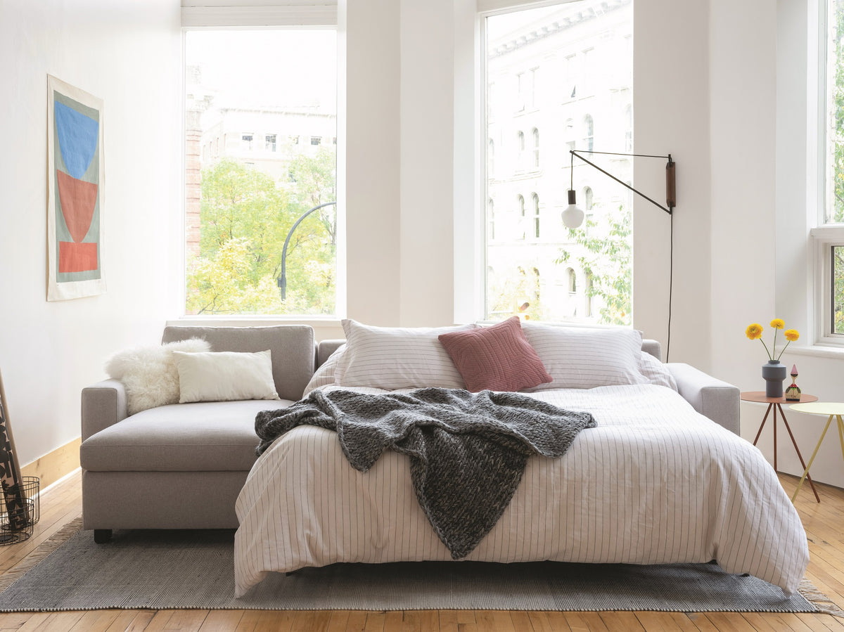 Reva 2-Piece Sectional Sleeper Sofa With Chaise