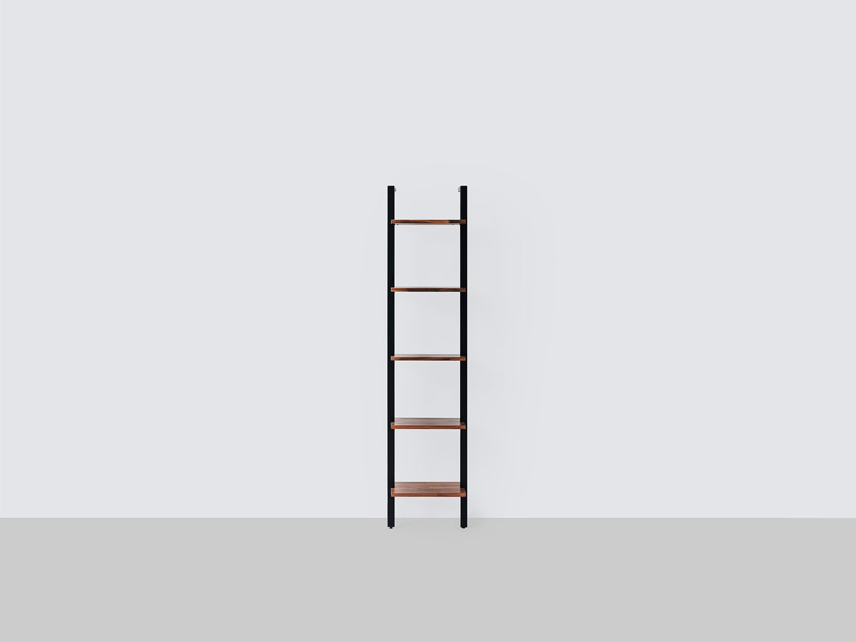 Climb Ladder Shelf