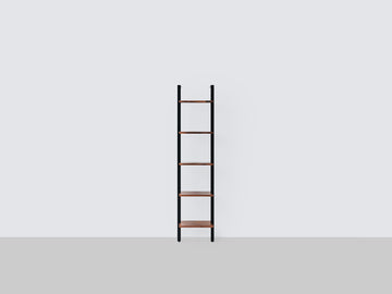 Climb Ladder Shelf