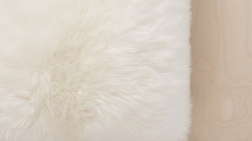 New Zealand Sheepskin Pillow – Material / Polyester Fibre – view 2