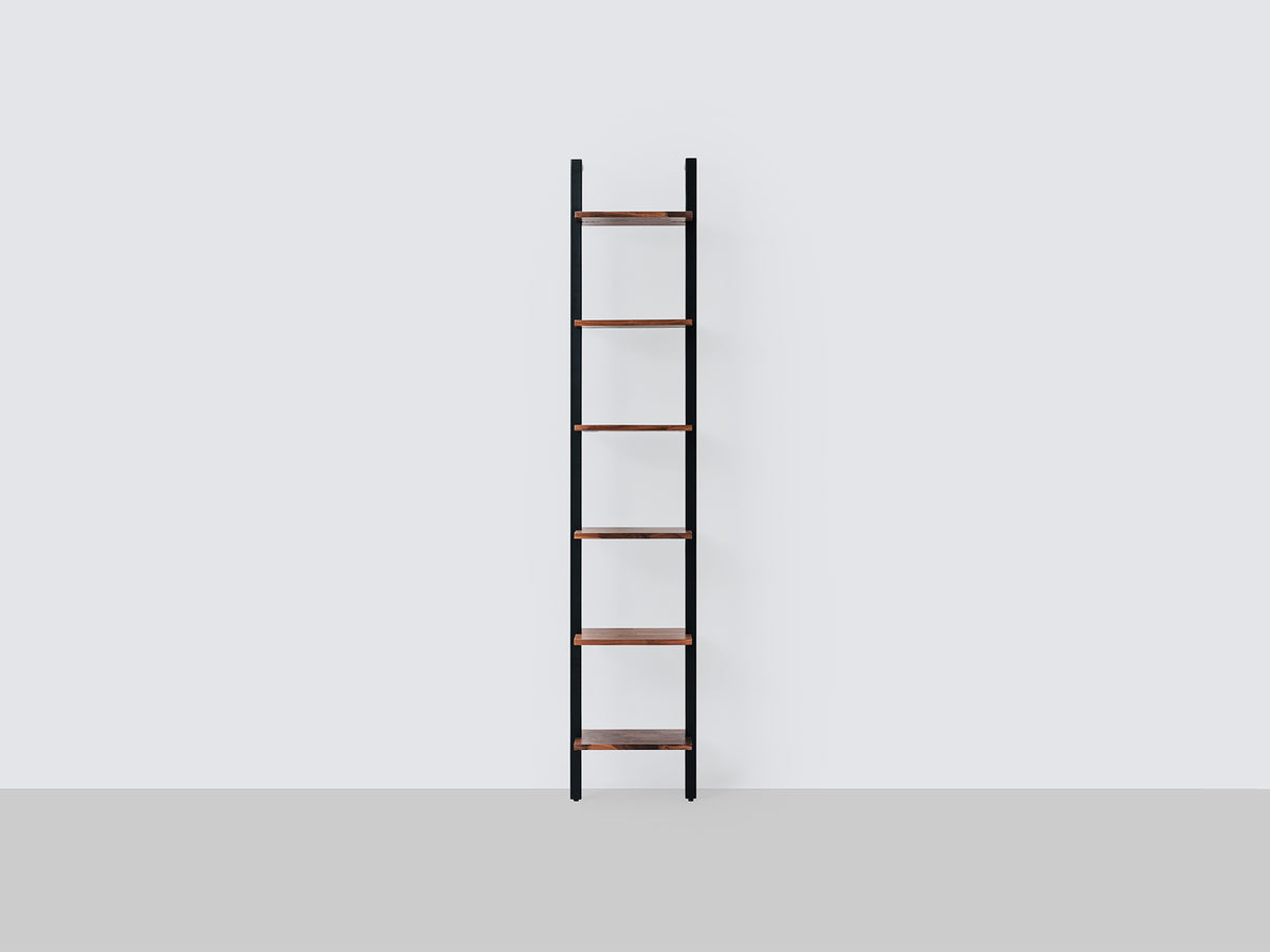 Climb Ladder Shelf