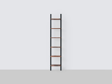 Climb Ladder Shelf