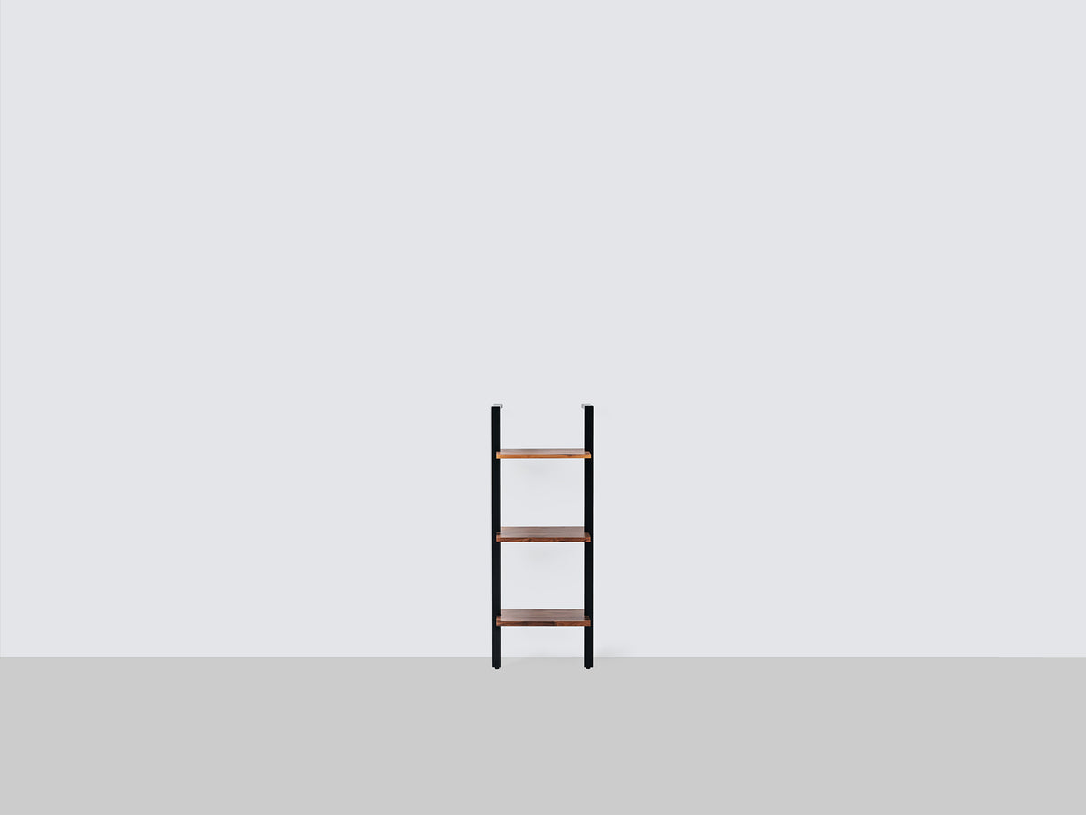 Climb Ladder Shelf
