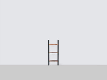 Climb Ladder Shelf