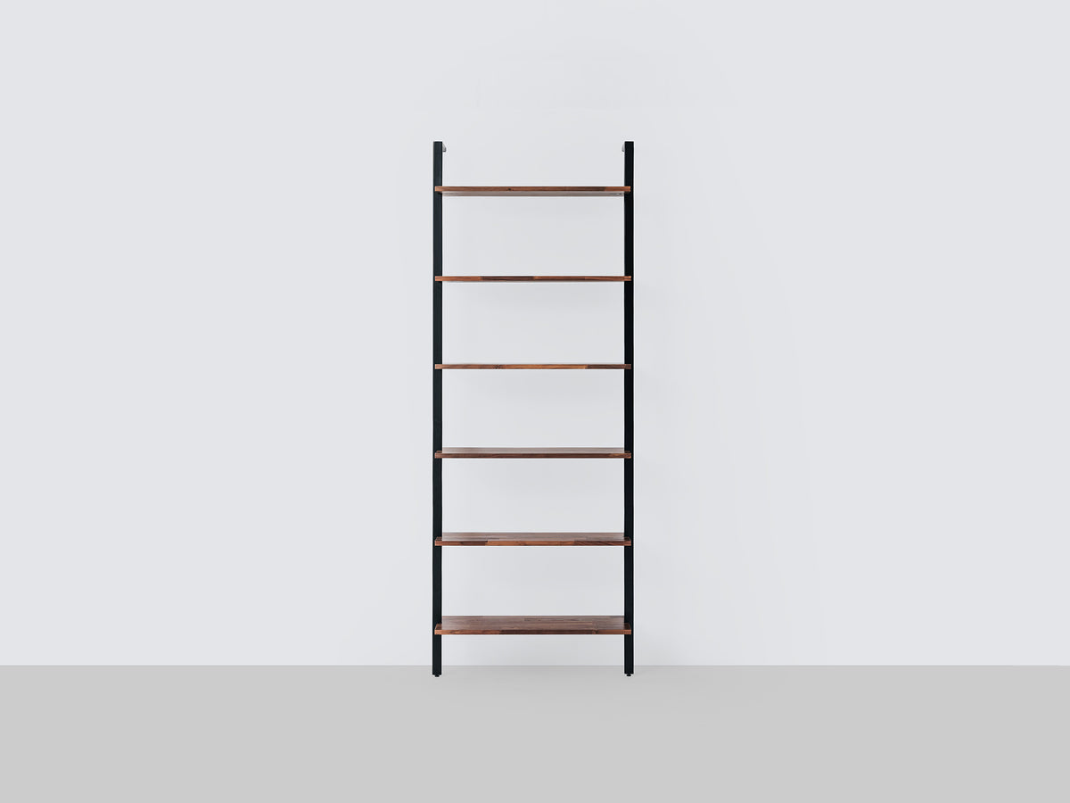 Climb Ladder Shelf