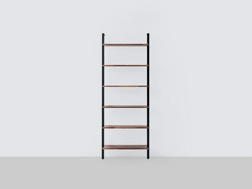 Climb Ladder Shelf