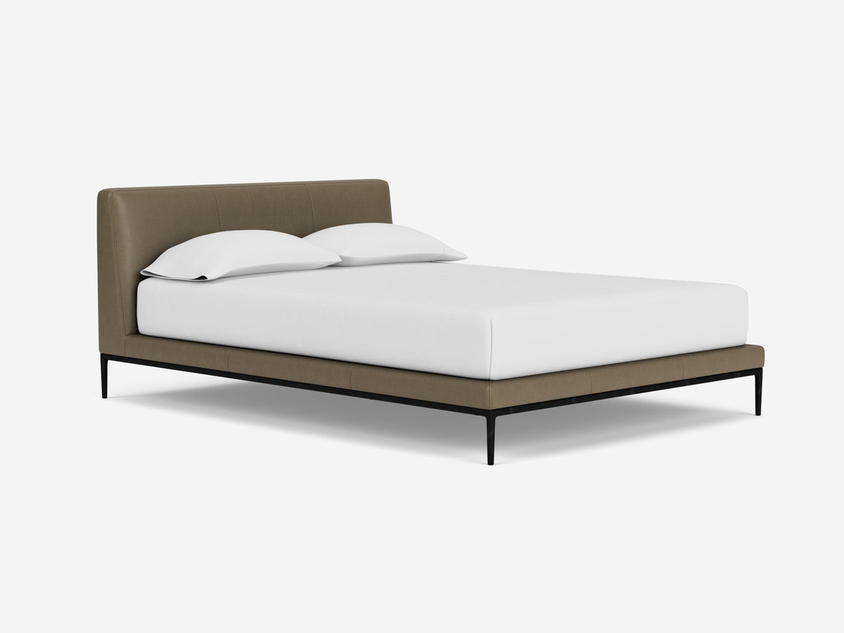 Donna Taupe