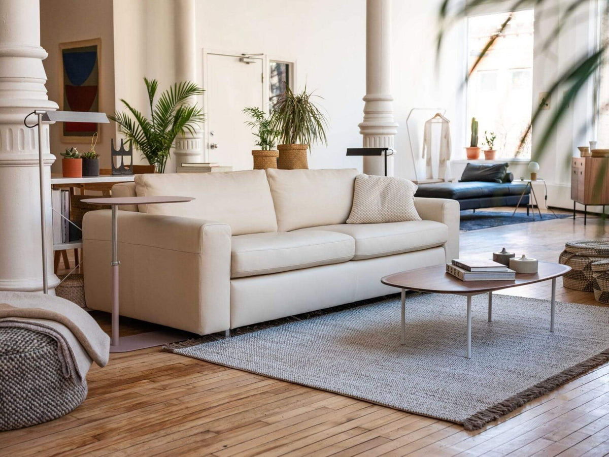 Reva Sleeper Sofa