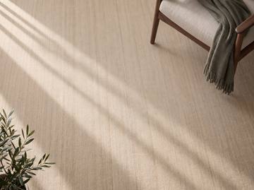 Ease Rug 6' x 9'