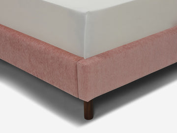 Walnut Leg