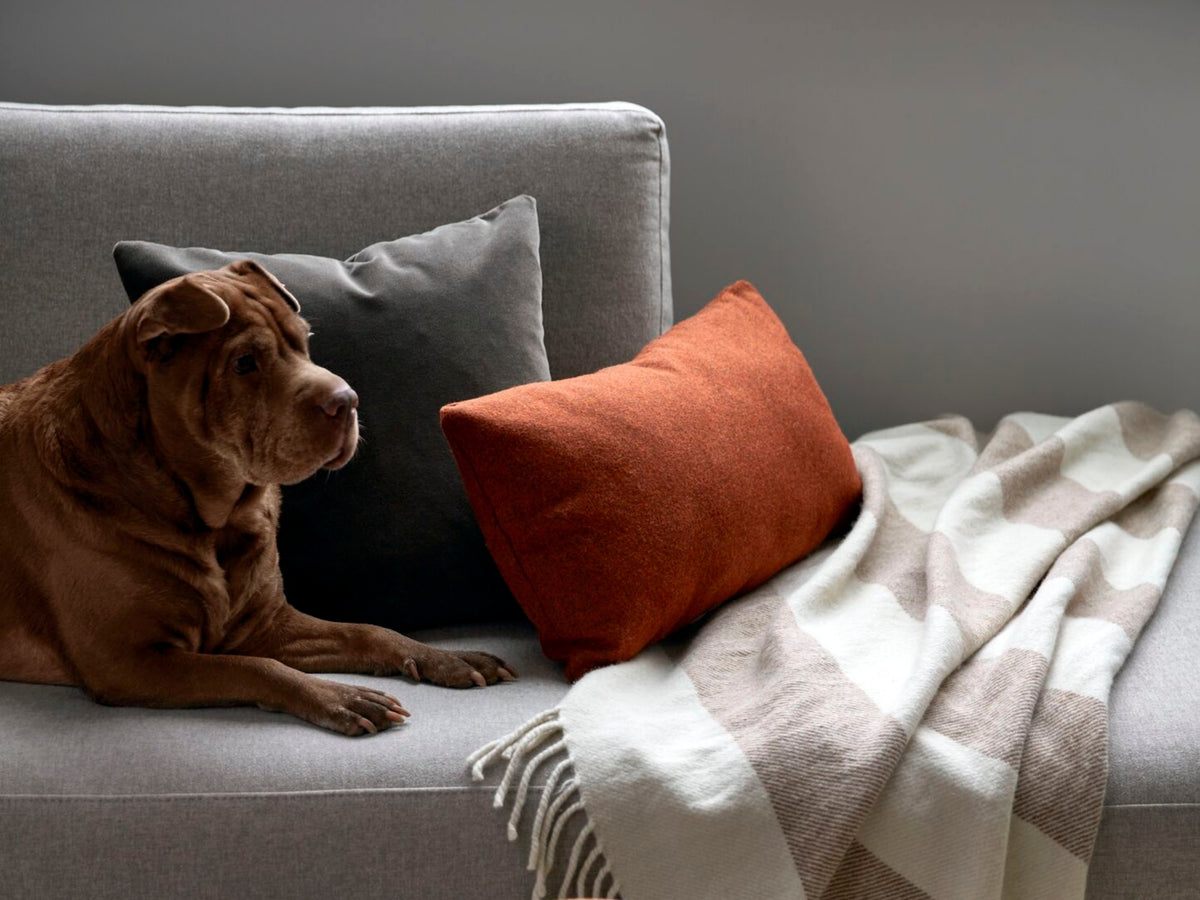 Lumbar Pillow