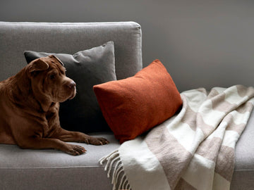 Lumbar Pillow